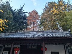 -汇龙潭