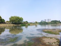 -澹台湖公园