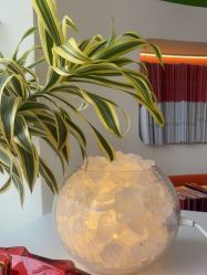 -WENDY·温迪皮肤管理