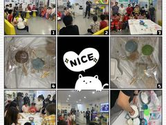 -魔扣少儿编程(格调中心店)