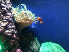 -成都浩海立方海洋公园