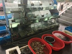 -海尚韵舍海景餐厅(朱家尖店)