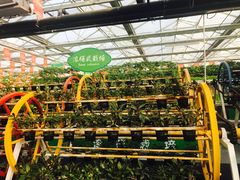 -兰陵国家农业公园