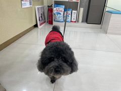 -天宠宠物医院24小时·急重症诊疗中心·全科·腔镜特色(和平分院)
