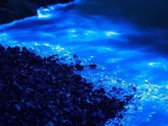 -日照世帆赛基地