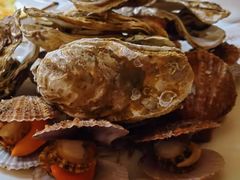 -宾朋海鲜特色美食餐厅·纯手工鲅鱼水饺(兴海路店)