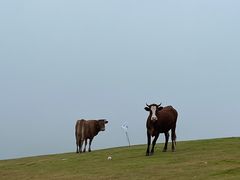-趣飞飞黑麋峰国际滑翔伞基地