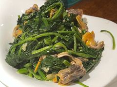 菠菜毛蛤蜊-前海沿·青岛菜(大拇指广场石老人店)