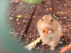 -北京鹿世界主题园