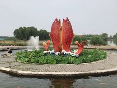 -白洋淀景区