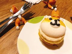 -柴务处·柴犬主题狗咖