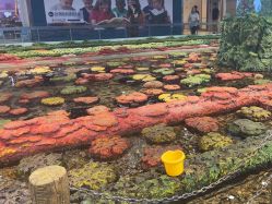 -钓虾工场·钓虾·赶海(回龙观店)