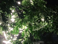 -墨居上隐·院子里火锅(峨眉店)