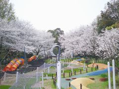 -杭州少年儿童公园