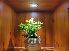 -鸥迪足道(湖南示范店)