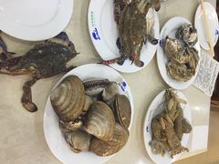 春华海鲜城-春华海鲜城(广场西苑店)