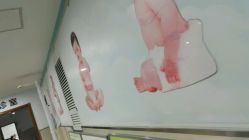 -上海市嘉定区妇幼保健院