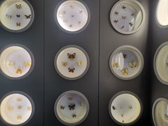 -下渚湖国家湿地公园科普馆