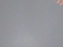 -维尔纳斯·生日蛋糕·动物奶油冰淇淋蛋糕(六里桥店)