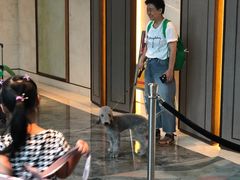 -上海崇明金茂凯悦酒店