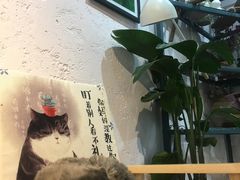 -喵屿·大理花园猫咖