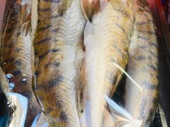 -新疆风味冷水鱼庄(友谊峰路店)