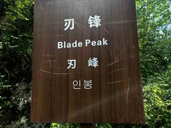 -王顺山国家森林公园