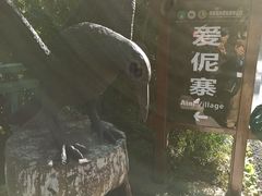 -西双版纳原始森林公园