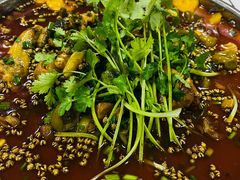 -椒香鸡(西区体育馆店)