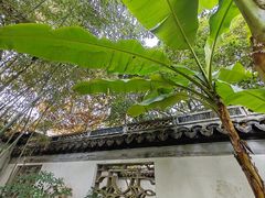 -秋霞圃