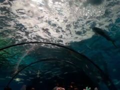 -泉城欧乐堡海洋极地世界