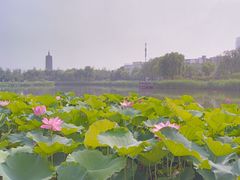 -西海子公园