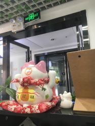-凡碧诗毛孔收细