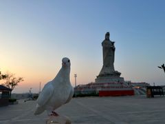 -天津妈祖文化园