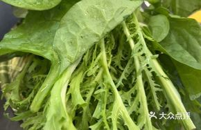Self-Service Seasonal Vegetables and Wild Greens