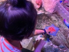 -沈阳海洋探索中心