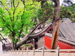 -晋祠公园