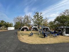 -鹅湖玫瑰文化园