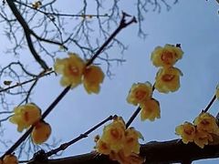 -Miohca缪卡KTV(和平店)