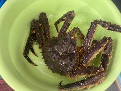 -阿勇海鲜排档2号(朱家尖店)