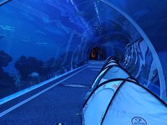 -成都浩海立方海洋公园