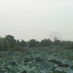 点击看大图 -云湖游乐园