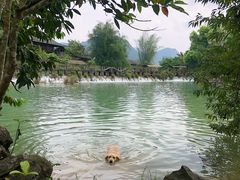 -明仕田园
