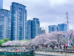 -西北湖绿化广场