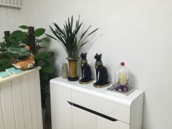 -YooMee优美智能科技美肤机构