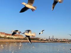 -安琳acKONA咖啡(极地店)