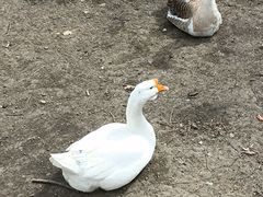 -长春市南湖公园