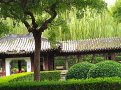-团结湖公园