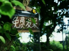 -东部华侨城