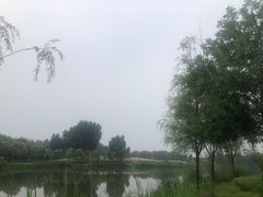 -东郊湿地公园